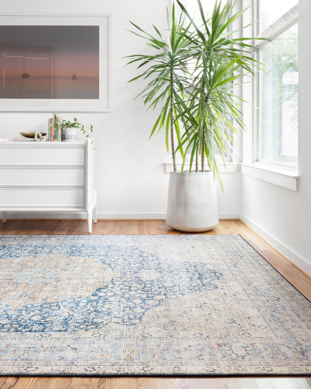 Rugs