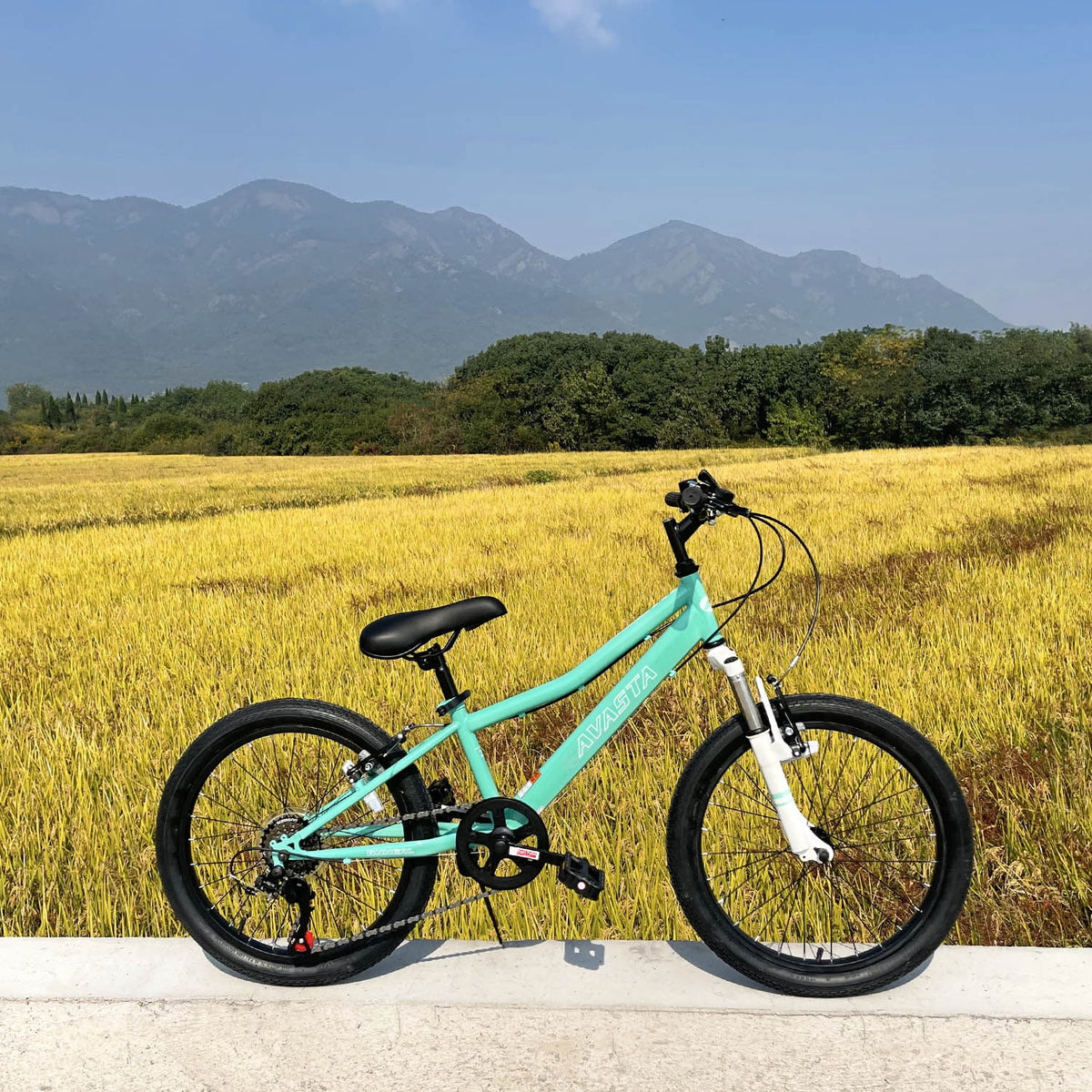 AVASTA 20'' Big Kids Mountain Bike for Age 6 7 8 9 10 11 12 Years Old Boys Girls Teen with Suspension Fork - Product image 30